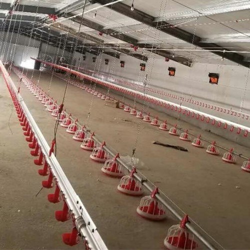 22ton 220V Auger Automatic Pan Feeding System Shed